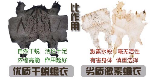 如何選擇好蟾衣？您踩坑了嗎？